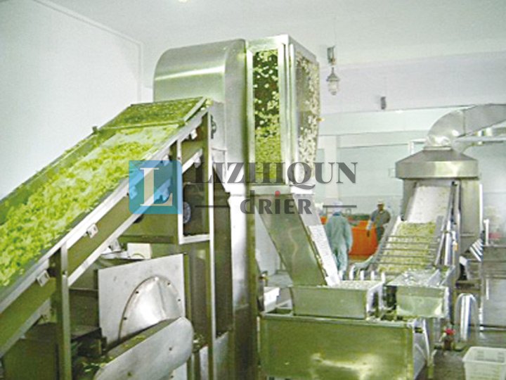 脱水蔬菜带式干燥机